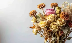 Un ramo de rosas amarillas y una rosa rosa, con flores secas y espigas, muestra cómo secar un ramo de flores para conservarlo.