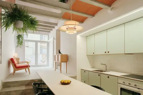 Interior de una casa entre medianeras con cocina moderna, sala de estar con sillón rojo y plantas colgantes.