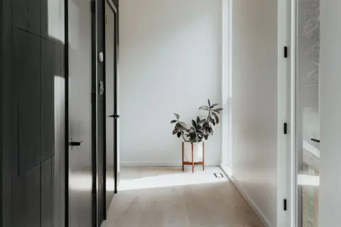 Un recibidor sin espejo, con puertas oscuras y una planta en maceta blanca sobre un soporte de madera. La luz del sol ilumina el suelo de madera clara.