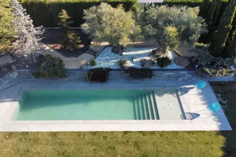 Piscina moderna de obra con escaleras integradas, rodeada de jardín con olivos y cipreses. Un ejemplo de los diversos tipos de piscinas de obra.
